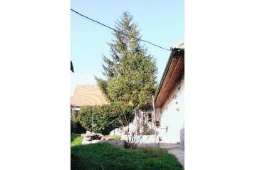 Slovaška Byt Horné Orešany, Eksterier